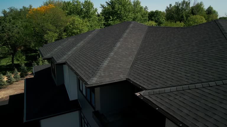 Best Roof Moss and Algae Removal  in Gulf Breeze, FL