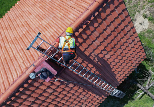 Best Asphalt Shingles Roofing  in Gulf Breeze, FL
